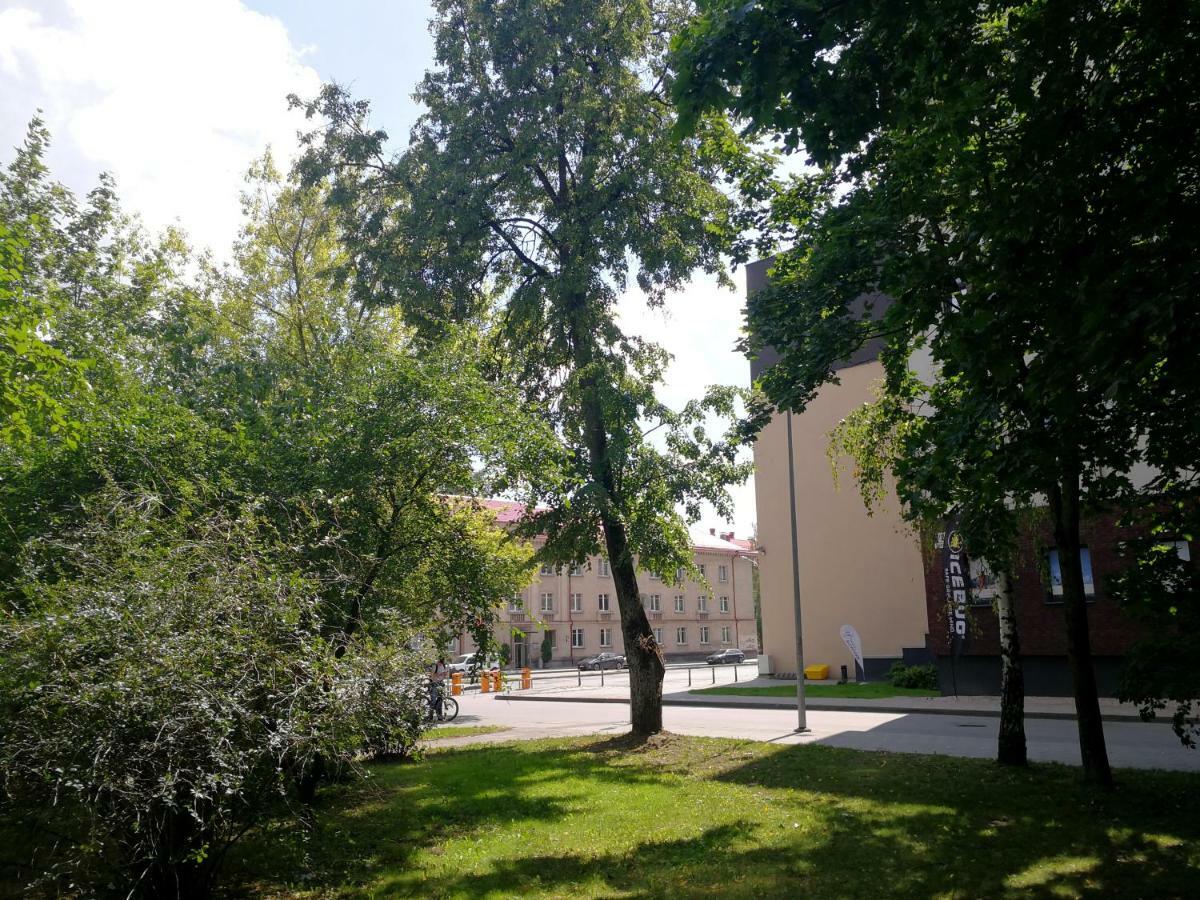 Vilnius Apartment With Stained Glass المظهر الخارجي الصورة