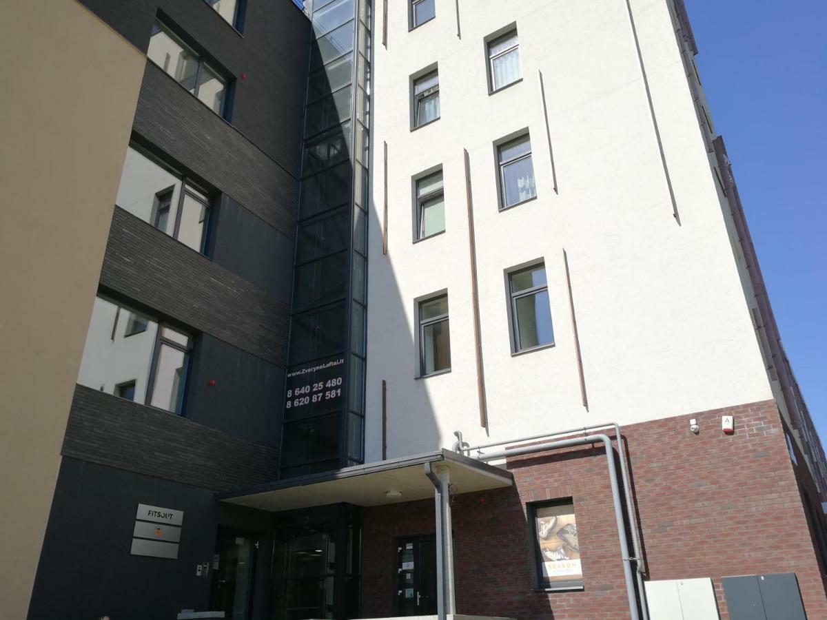 Vilnius Apartment With Stained Glass المظهر الخارجي الصورة