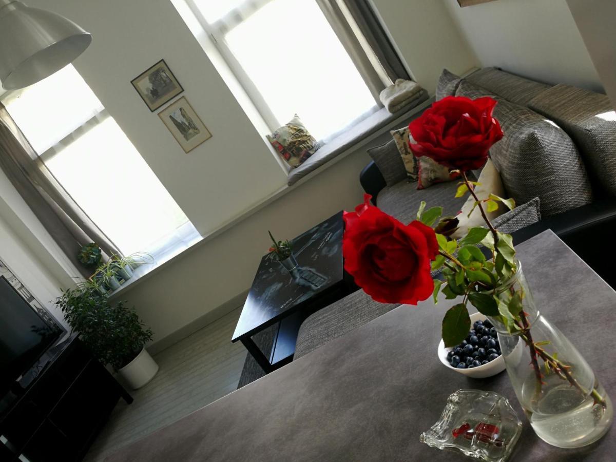 Vilnius Apartment With Stained Glass المظهر الخارجي الصورة